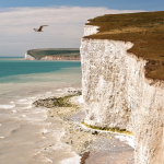 Dover