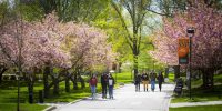 william paterson university viale alberato