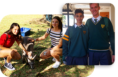 Sistema Scolastico Australia