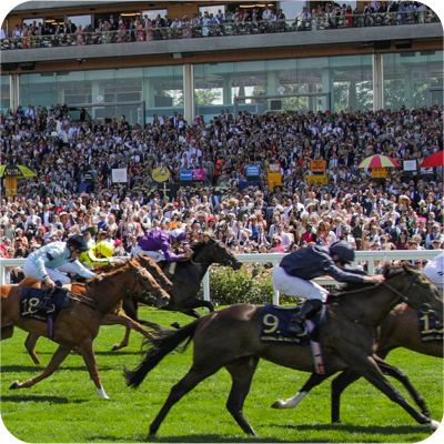 ASCOT