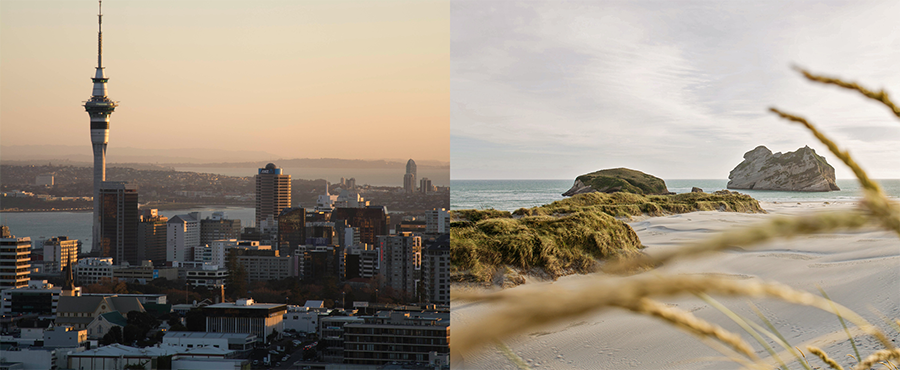 Soggiorni linguistici in Auckland