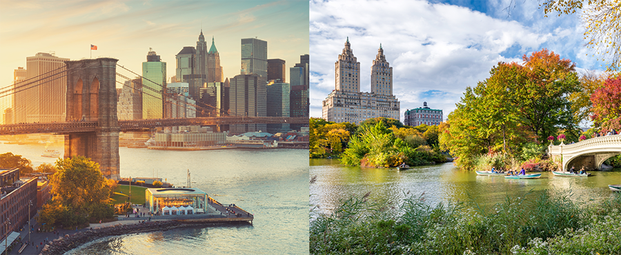Soggiorni linguistici a New York