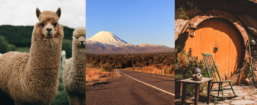 Soggiorni linguistici in Australia e Nuova Zelanda