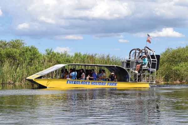 Vivi un'avventura mozzafiato nel cuore delle Everglades, il Parco Nazionale della Florida dove avvistare i coccodrilli durante un adrenalinico tour sulle Airboats