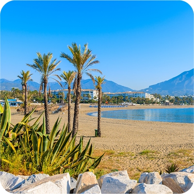 Vivi un Independent program a Marbella