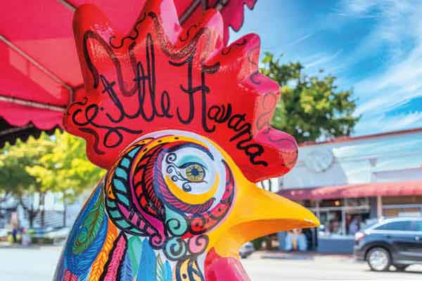 con tutti i suoi quartier più famosi: Little Havana, grande comunità cubana, vivace e ricca di colori, Design District pieno di architettura, gallerie d’arte, showroom e musei, Wynwood, un vero e proprio museo a cielo aperto con tutti i suoi sbalorditivi murales.