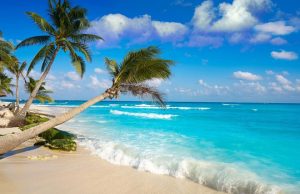 Vivi un’incredibile Vacanza Studio a Playa del Carmen, vivace cittadina messicana situata nella penisola dello Yucatán. Apprezzatissima meta turistica, questo paradiso naturale è famoso per le sue spiagge di sabbia bianca, le acque cristalline e l'atmosfera vivace