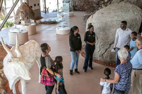 Peninsula tour, City Storytelling walk, Robben Island, District Six Museum, Langa, Seal Island, Table Mountain saranno il set di questo viaggio alla scoperta di Cape Town