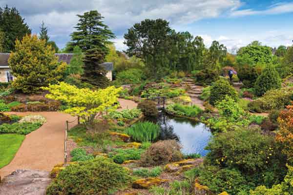 Glasgow, St. Andrews & Dundee, Royal Botanic Gardens, National Museum of Scotland, Holyrood Palace saranno il set di questo viaggio alla scoperta di Edimburgo
