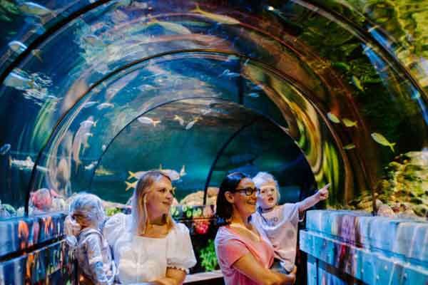 Brighton Royal Pavillion, SEA LIFE Brighton, Seven Sisters, Chichester saranno il set di questo viaggio alla scoperta di Brighton
