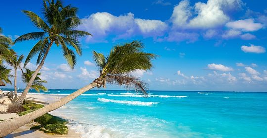Quest’anno inter-studioviaggi introduce una grande novità: una vacanza studio in Messico a Playa del Carmen. Il programma è conforme al bando Estate INPSieme 2025