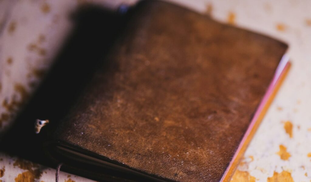 Da Mini-vlog, a diari digitali, a podcast personali ecco alcune idee per documentare il tuo anno all'estero in modo originale