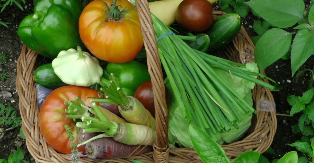 In Irlanda ci sono antiche tradizioni celtiche che sono rimaste vive, una delle più affascinanti è Lughnasadh, la festa che segna la fine dell’estate e l’inizio del raccolto. Scopriamola!