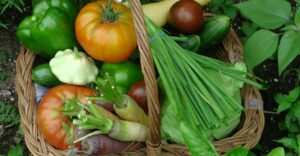 In Irlanda ci sono antiche tradizioni celtiche che sono rimaste vive, una delle più affascinanti è Lughnasadh, la festa che segna la fine dell’estate e l’inizio del raccolto. Scopriamola!