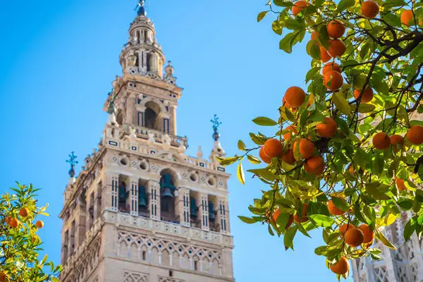 Escursioni-Centro storico di Siviglia