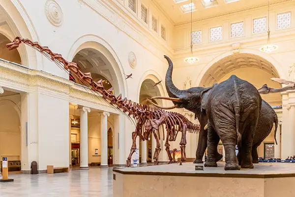 Field Museum Chicago