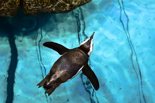 Boston New England Aquarium