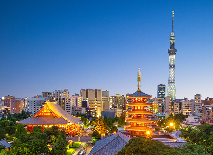 Vacanza Studio Japan Discovery