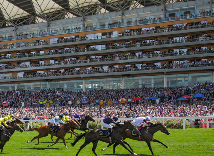 Vivi il tuo independent program in Inghilterra ad Ascot
