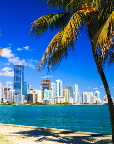 black-friday-vacanze-studio-miami