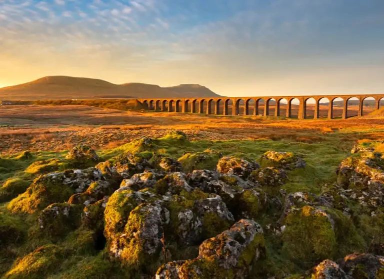 preview-independent-ackworth