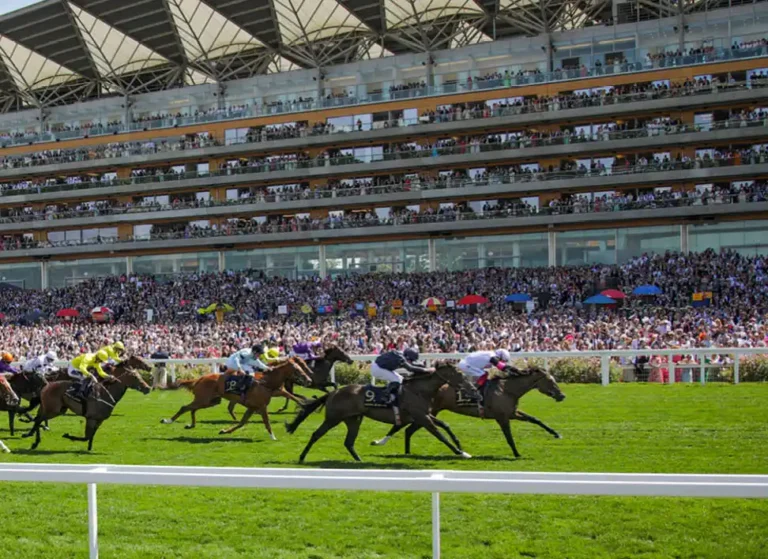 preview-independent-ascot