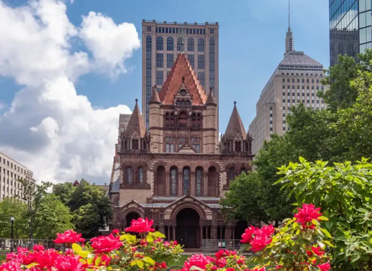 preview-independent-boston-cats-academy