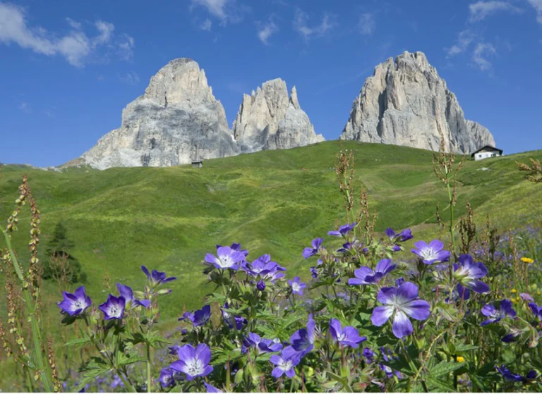 Vacanze Studio short stay in Italia a Canazei