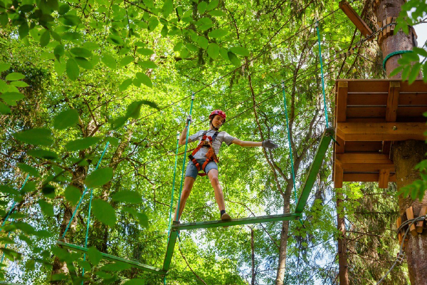 Giornata al Parco Avventura