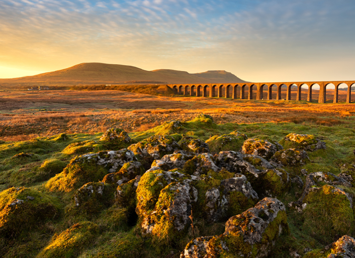 Vivi il tuo independent program in Inghilterra ad Ackworth