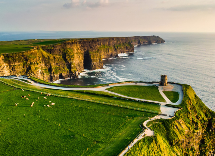 Vivi il tuo independent program Dublin & Ireland