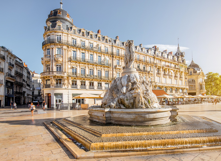 Vivi il tuo independent program in Francia a Montpellier