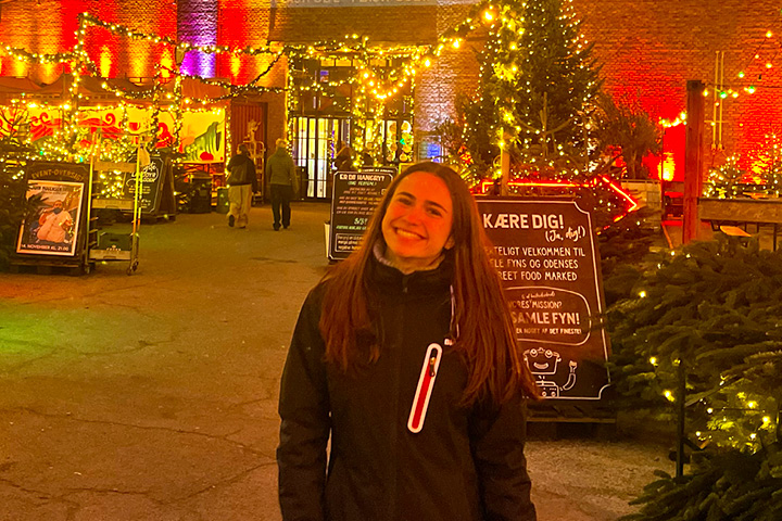 Xmas Promo: sconto fino a 400€ sul tuo anno all'estero!