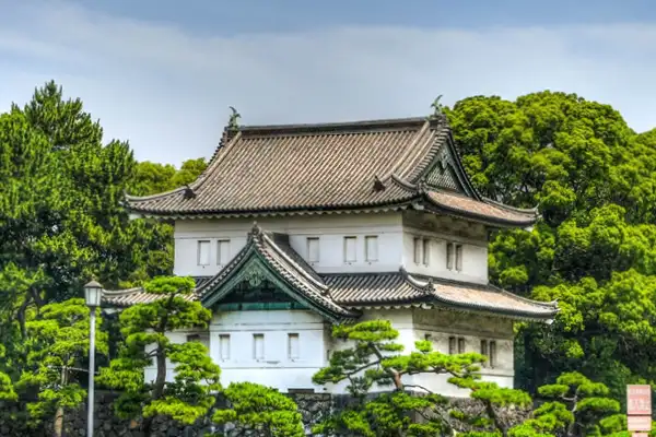 Escursioni-Tokyo-Japanese Cultural Excursion