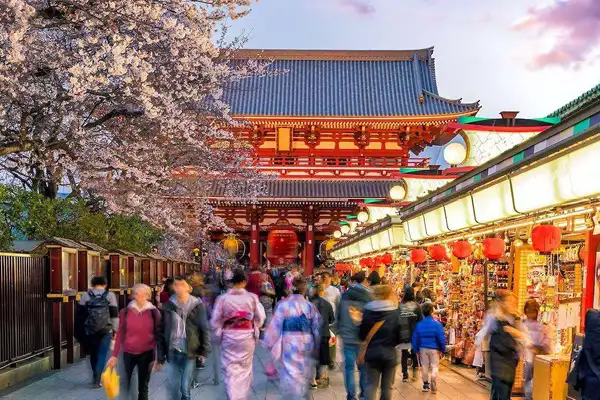 Escursioni-Tokyo-Ueno park-Sensoji Temple-Asakusa con Yukata Experience