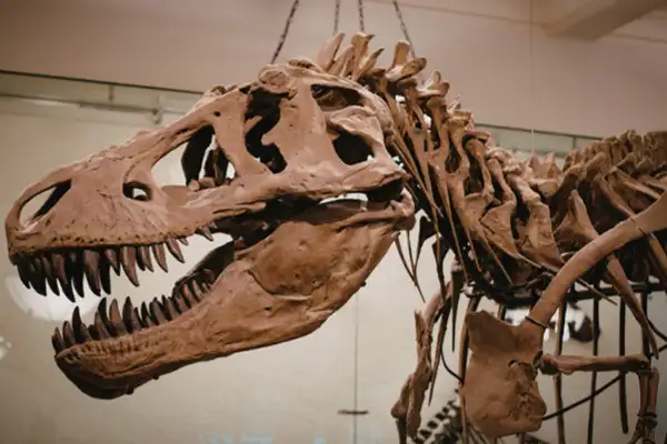 Singapore Science Centre