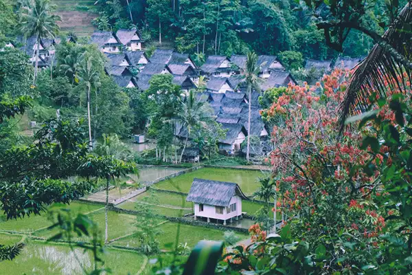 Eco Tourism Kampung Melayu