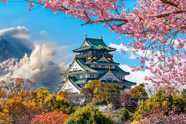 Escursioni-tokyo-osaka-Tour finale a Osaka, Kyoto e Nara