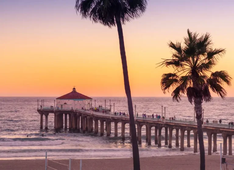 Soggiorni Linguistici-preview-Los Angeles KINGS