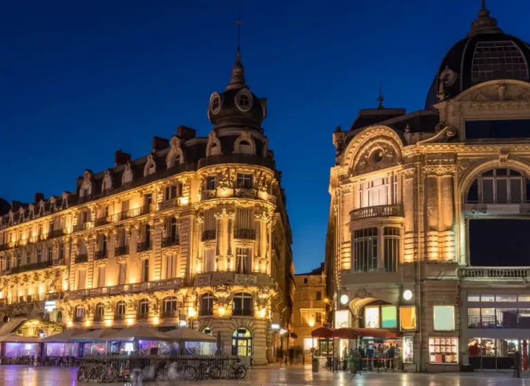 Soggiorni Linguistici-preview-Montpellier LSF