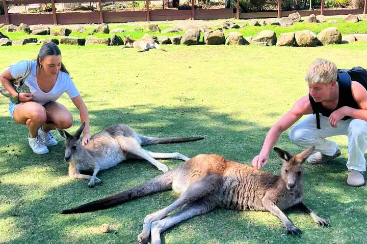 Vivi il tuo trimestre in Australia ad Adelaide: ultimi posti disponibili!