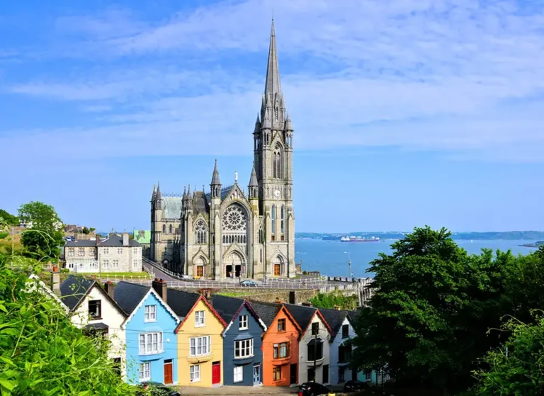 Preview-STAGE-cork