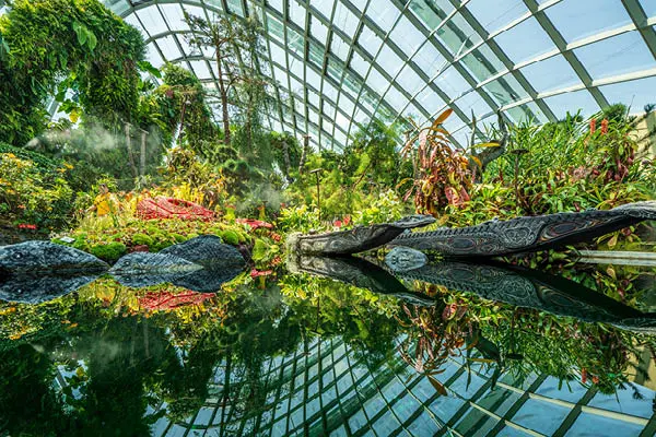 Singapore Botanical Gardens