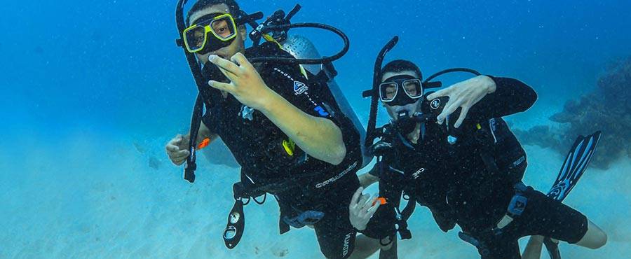 anno all'estero australia